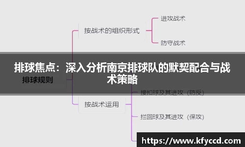 排球焦点：深入分析南京排球队的默契配合与战术策略